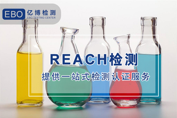 一份REACH报告大概需要多少钱